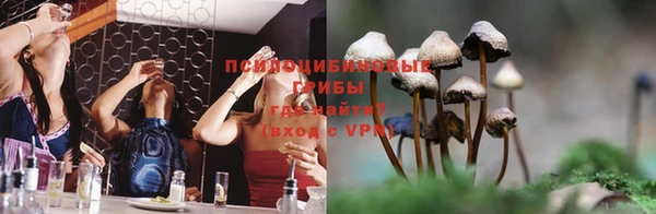 PSILOCYBIN Алексин