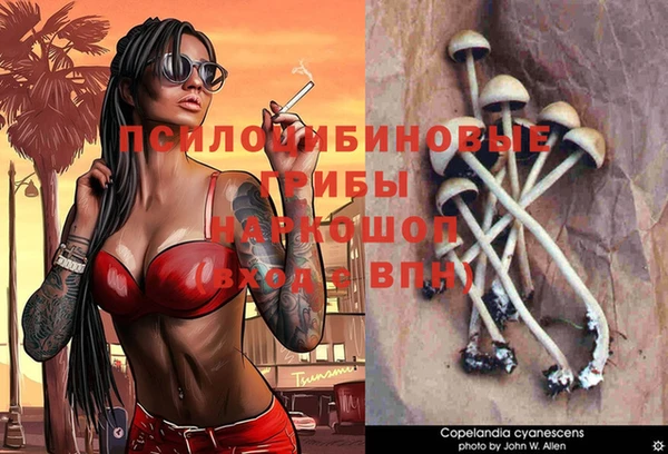 бошки Алзамай