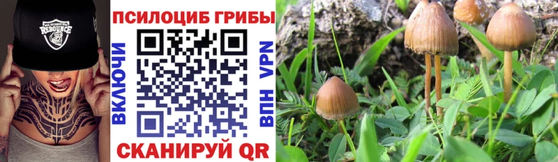 Псилоцибиновые грибы MAGIC MUSHROOMS Абинск